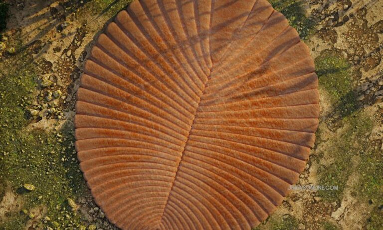 Sejarah Hewan yang Pertama Kali Muncul di Dunia